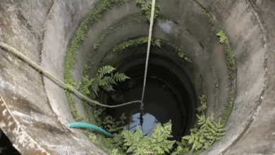 father threw 3 children into a well