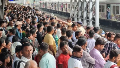 Rail traffic disrupted due to falling of pole between Mulund Thane station