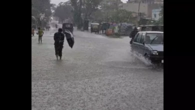 Thane records 75 mm rainfall in three hours