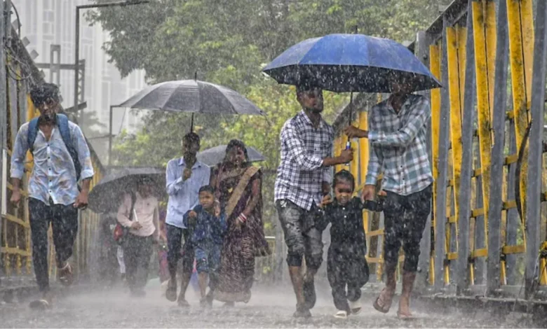 Heavy rain alert in 'these' 14 districts of Maharashtra