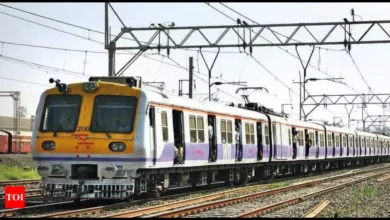 Passenger falls from local train between Kopar and Diva railway stations