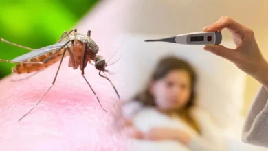 387 dengue and malaria patients in Kalyan-Dombivli in two months